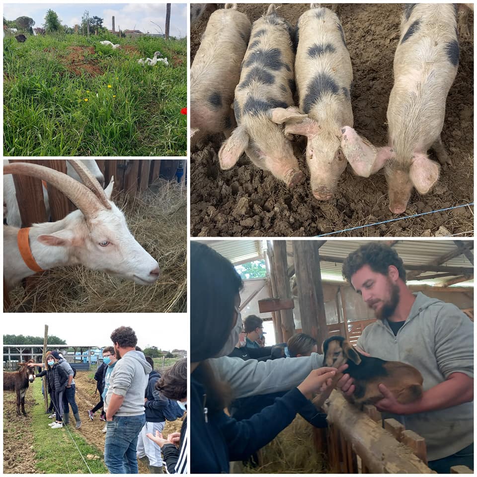 Visite d&rsquo;étude à la ferme Lou Cornal