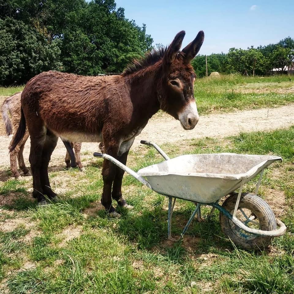 Visite d&rsquo;étude à la ferme Lou Cornal